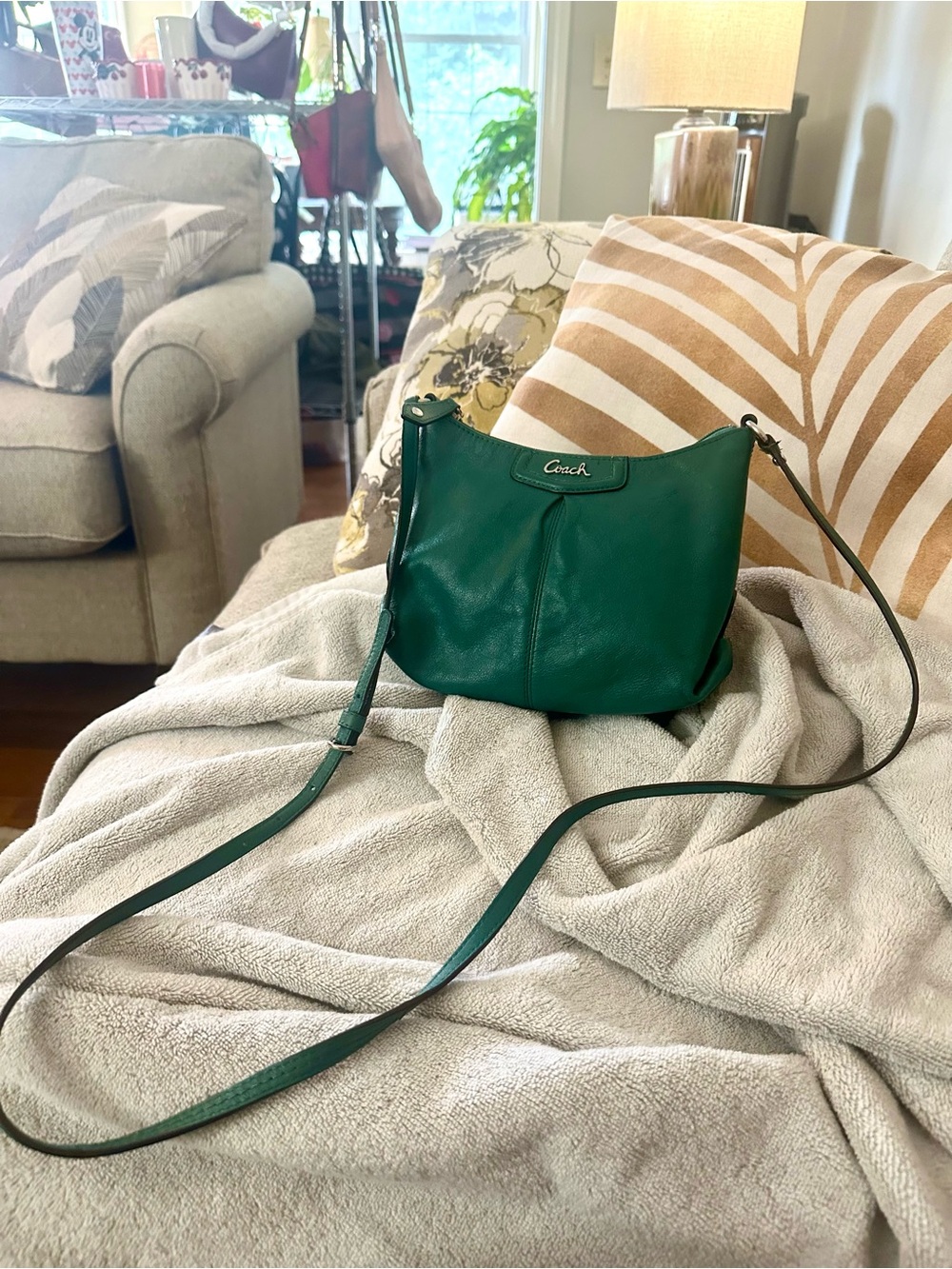 Coach Ashley Y2K Style Teal Leather Crossbody Bag Silver Hardware - Picture 10 of 14